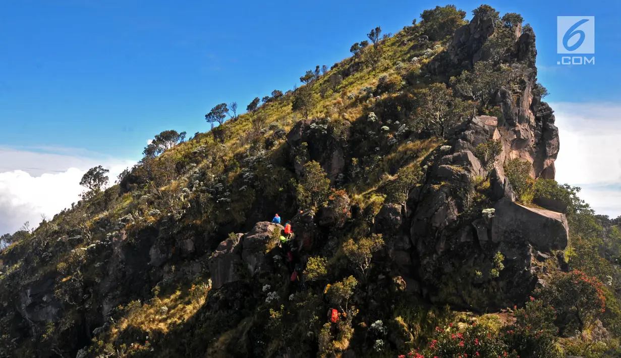 Pendaki menelusuri pinggiran tebing bebatuan saat hendak menuju Puncak Rajawali di Wonosobo, Jawa Tengah (3/4). (merdeka.com/Iqbal S. Nugroho)
