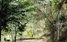 Dikenal Sebagai Jalur Ekstrem, Ini Sisi Menarik Bukit Tunggangan Wonogiri