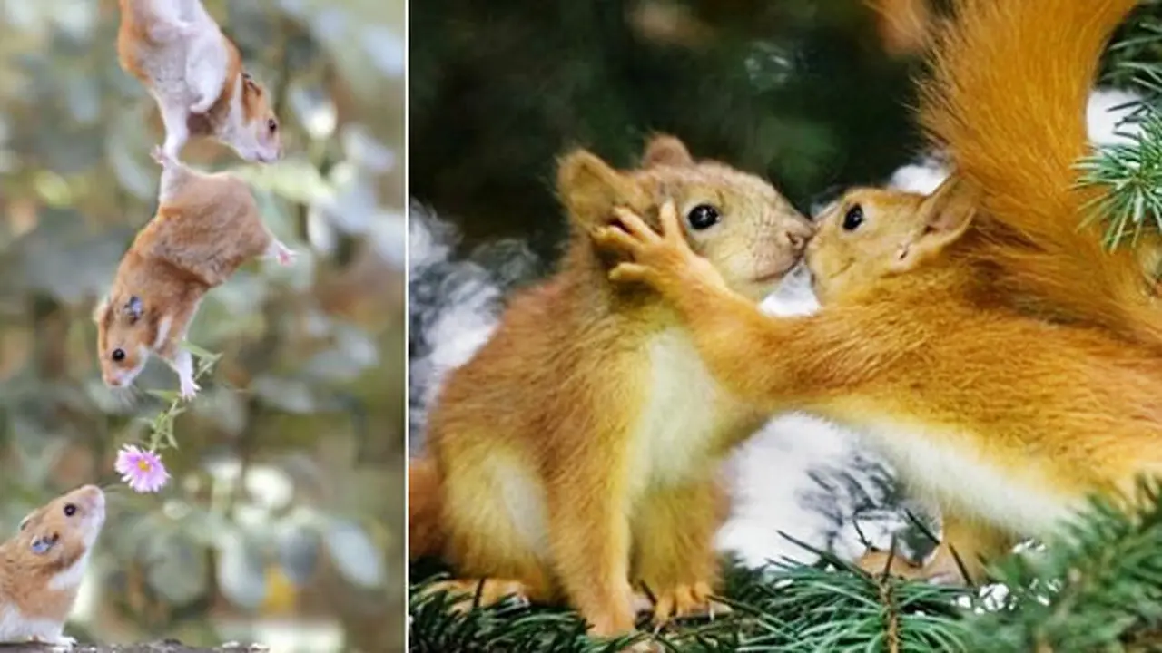 Foto: yourtango.com