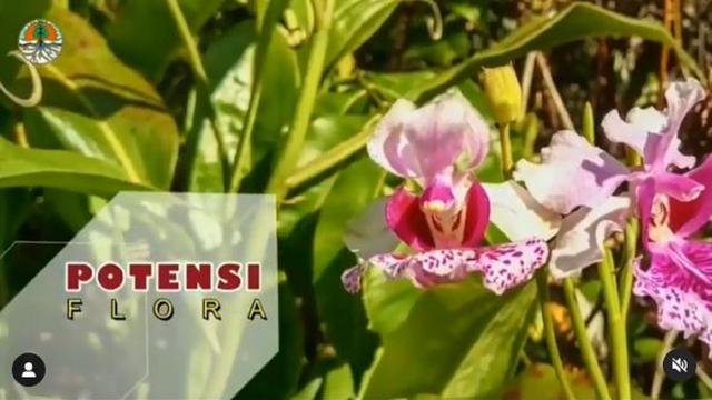 Taman Wisata Alam Danau Dendam Tak Sudah (TWA DDTS)