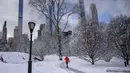 Seseorang berjalan di bawah pohon yang tertutup salju di Central Park setelah badai salju pertama musim dingin 2022 di New York City, Jumat (7/1/2022). Badai musim dingin membawa lebih dari 15 cm salju di bagian timur Amerika Serikat (AS), menutup sekolah, kantor dan jalan-jalan. (Ed JONES / AFP)