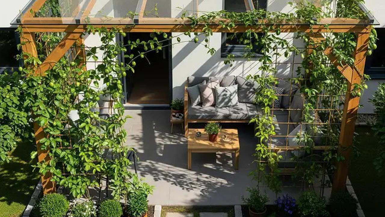 10 Model Teras Rumah Kecil dengan Kanopi Kaca dan Tanaman Merambat 2025, Hadirkan Elegansi Alami