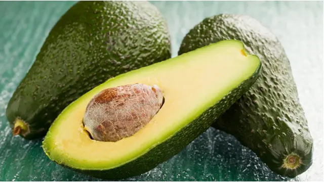 Courtesy ShutterStock.com