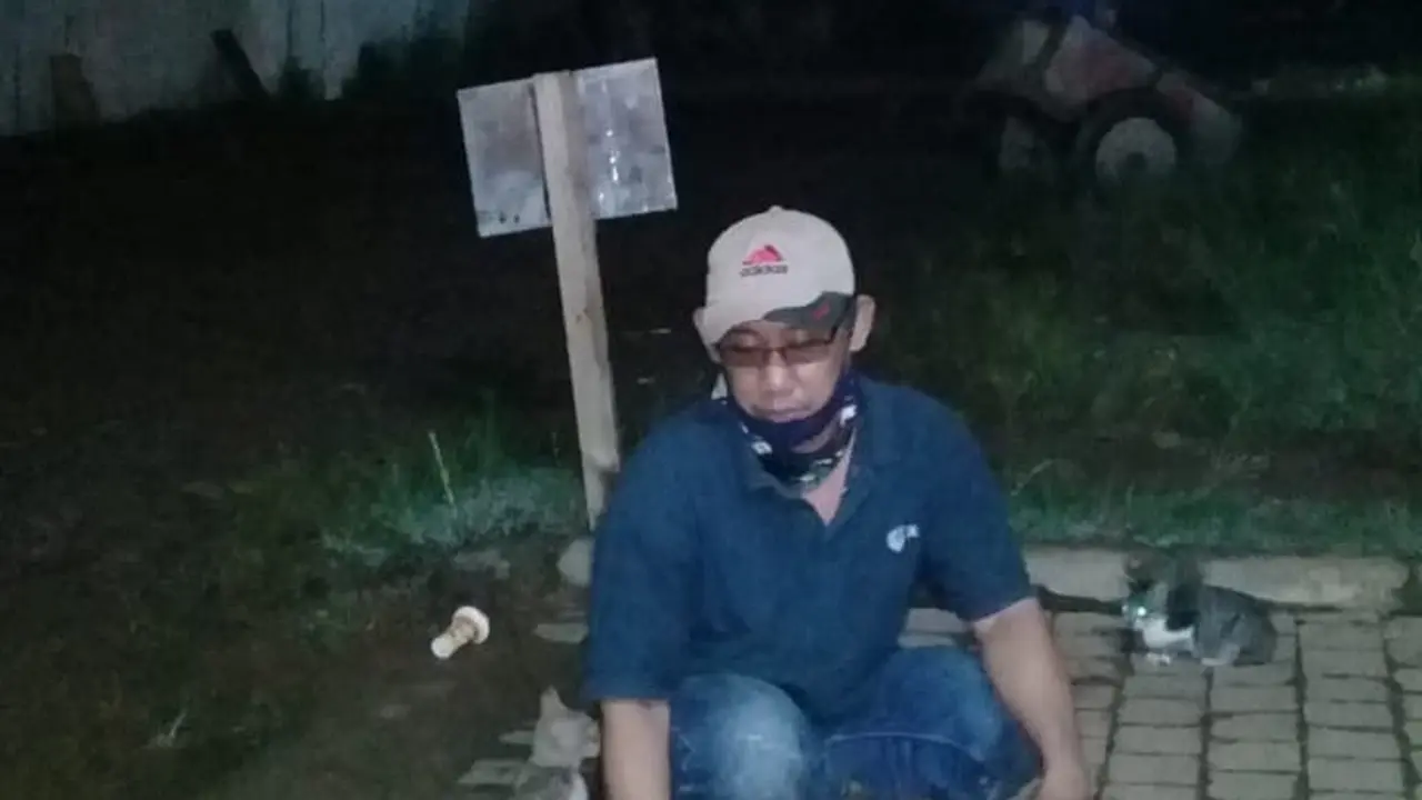 Pedagang Bakso beri Makan Puluhan Kucing Liar