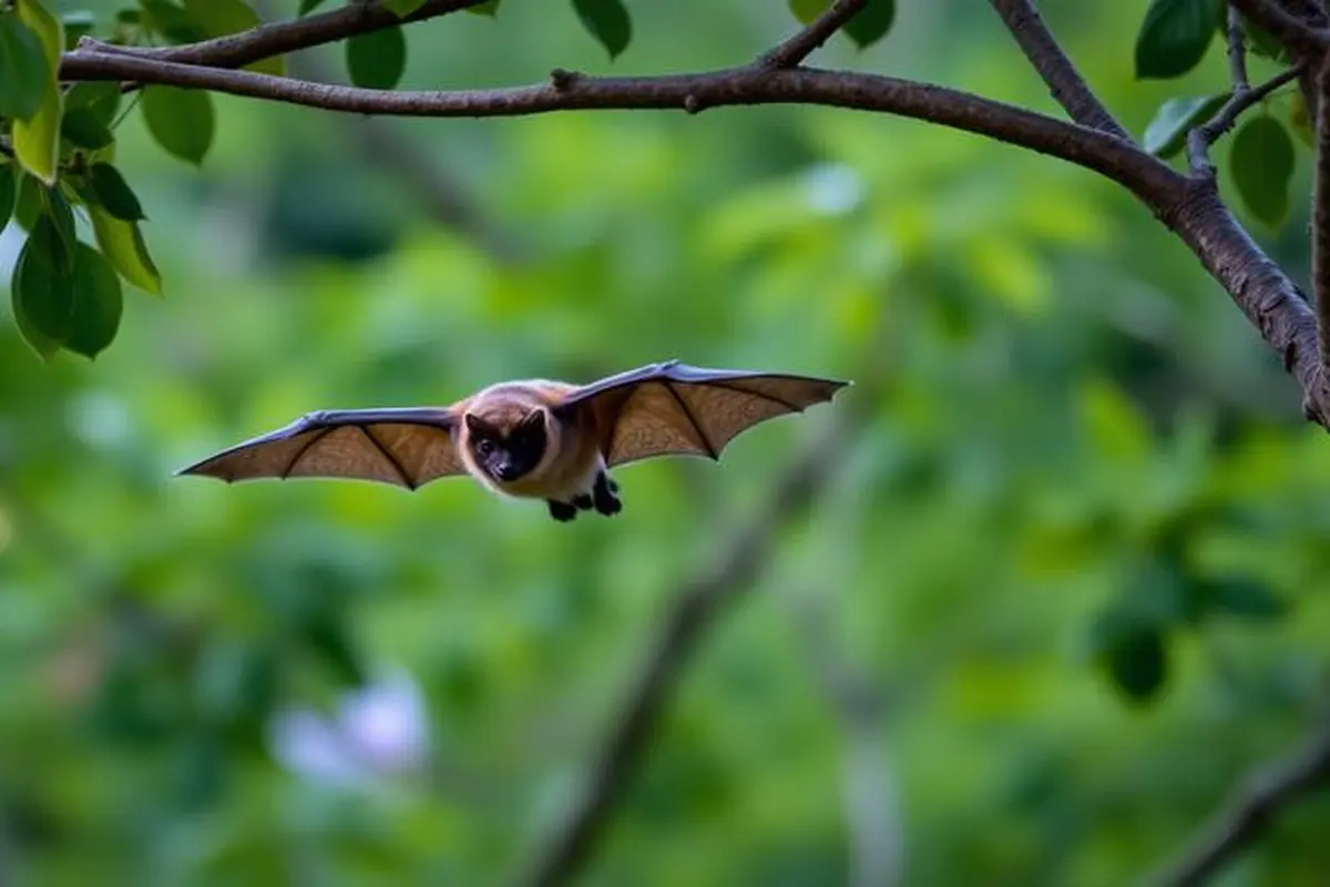 Virus Nipah: Ini Daftar Buah yang Disukai Kelelawar