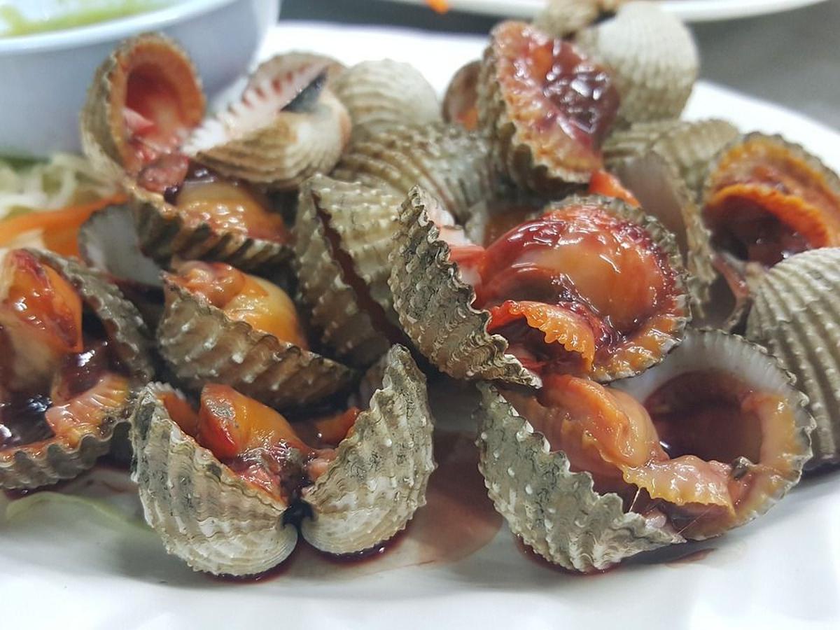 6. Kerang Macan