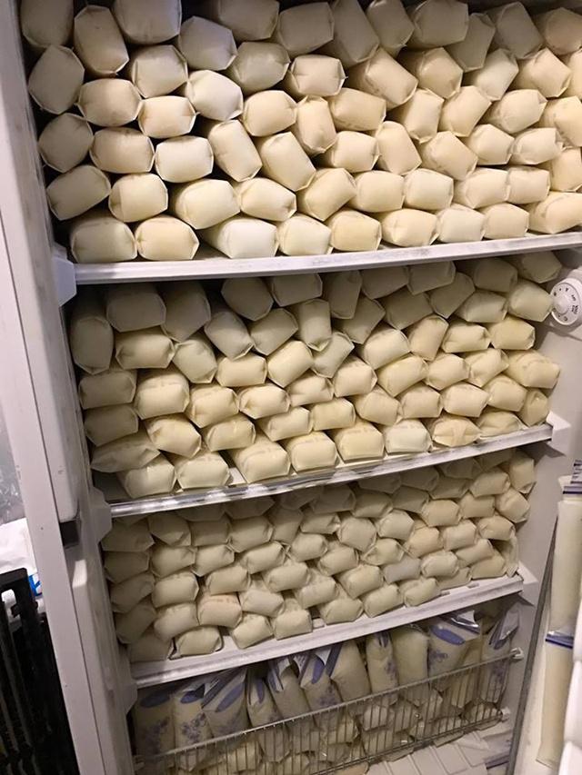 ASI di lemari pendingin rumah Elisabeth/copyright Elisabeth Anderson-Sierra/Facebook