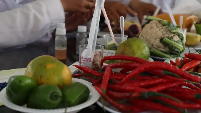 Beberapa bahan pangan mulai sayuran hingga produk dari satwa tengah dilakukan uji kesehatan oleh tim gabungan beberapa SKPD di Garut, menjelang idul fitri 1442 H.