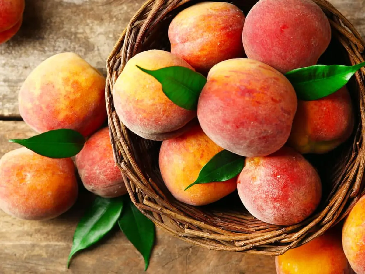 Manfaat Makan Buah Persik Untuk Kesehatan Ginjal