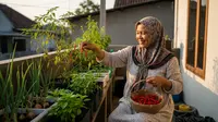 Cara Membuat Kebun Bumbu Dapur di Teras, Masak Jadi Lebih Mudah Tanpa Beli