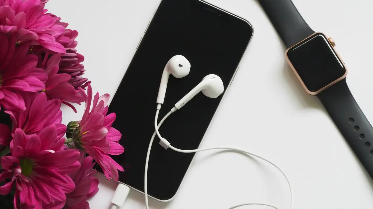 Earphone