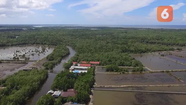 Desa Tani Baru