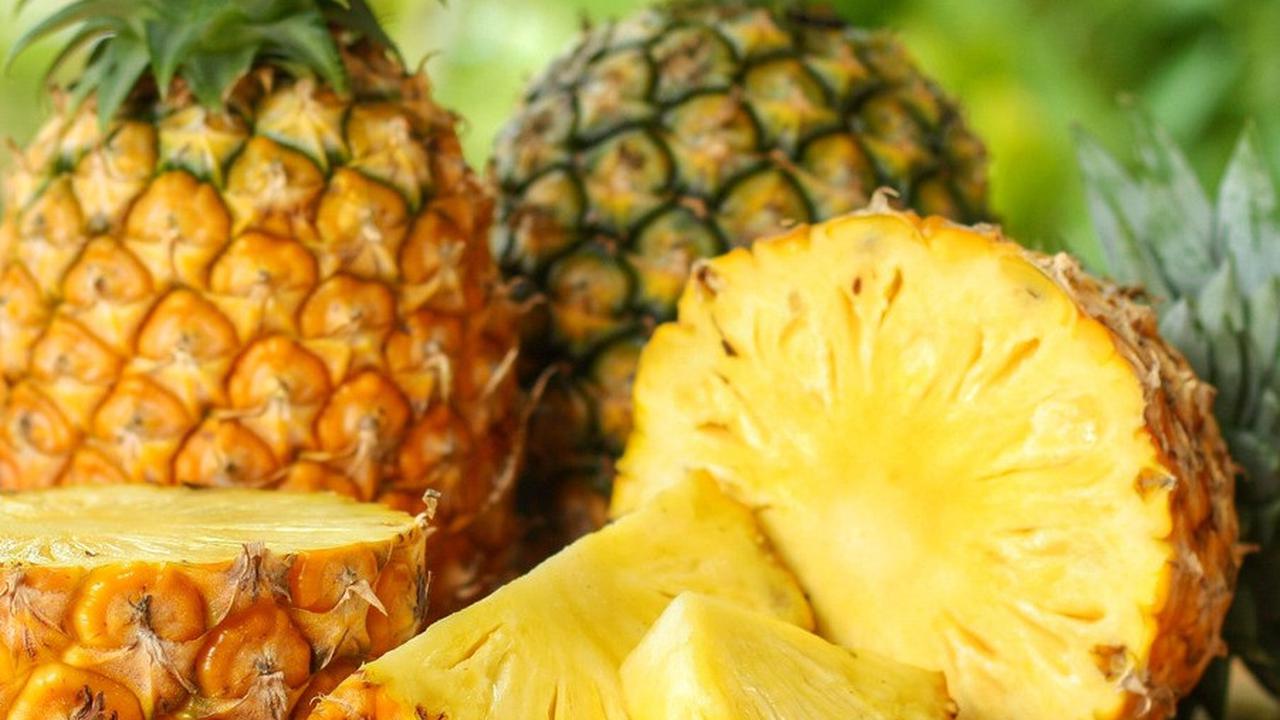ilustrasi nanas