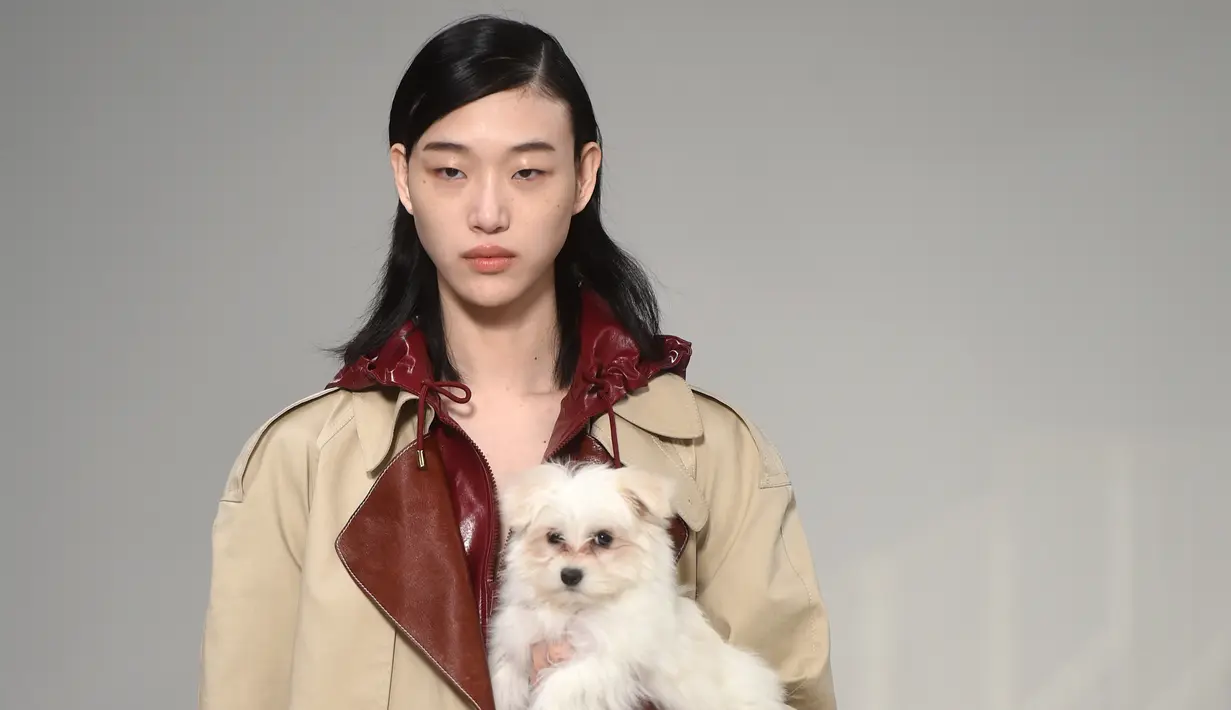 Seorang model menggendong anak anjing saat memamerkan rancangan Tod's di Milan Fashion Week, Milan, Italia, Jumat (23/2). Selain Gigi Hadid, para model Tod's lainnya juga membawa anak anjing saat tampil di Milan Fashion Week. (Filippo MONTEFORTE/AFP)