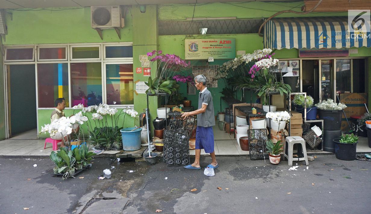 Bunga Matahari Rawa Belong - Jelajah Surga Bunga Rawa Belong Youtube - Klik pada gambar untuk mendapatkan informasi lengkap katalog kami.