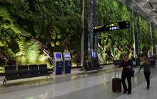 FOTO: Rimbunnya Hutan Tropis di Bandara Soekarno-Hatta