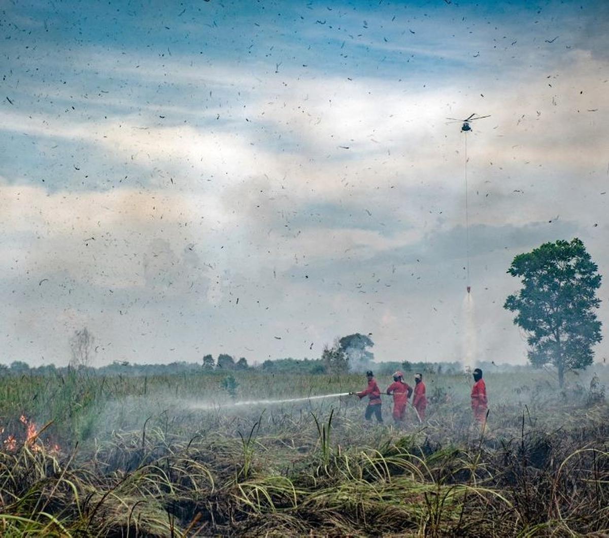 Petugas pemadam berusaha menjinakkan kebakaran hutan di Ogan Ilir, Sumatera Selatan, pada 27 Agustus 2024. Memasuki musim kemarau, kebakaran hutan dan lahan (karhutla) dilaporkan terjadi Ogan Ilir.&nbsp;Foto: Al Zulkifli/AFP