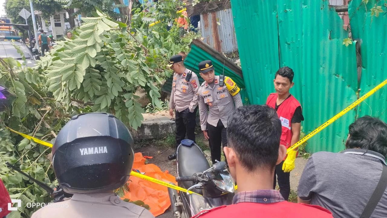 Nasib Nahas Driver Ojol Tewas Tertimpa Pohon Tumbang saat Hendak Jemput Penumpang