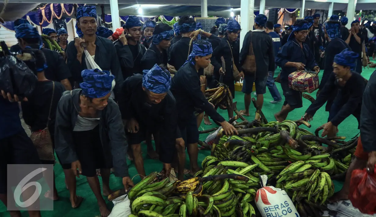 Masyarakat Suku Baduy Luar tiba di pendopo dengan hasil bumi berupa pisang, beras dan gula aren di Kabupaten Lebak, Banten (13/05). Mereka beristirahat semalam untuk menyiapkan fisik menuju Pendopo Serang. (Liputan6.com/Fery Pradolo)