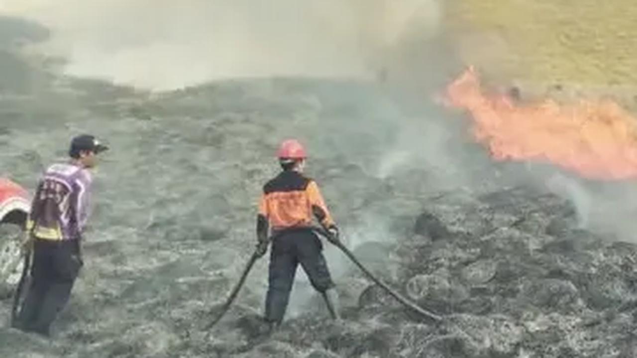 Apa Itu Flare, Pemicu Kebakaran Bukit Teletubbies Bromo saat Foto Prewed