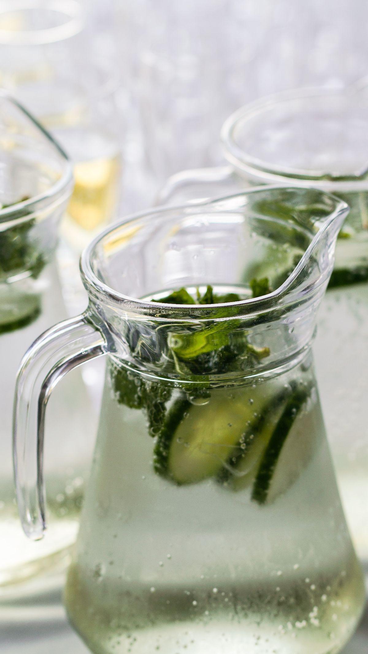 <b>Infused Water Mentimun</b><br>