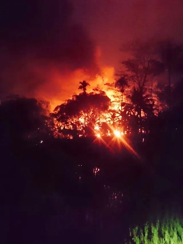 Kebakaran pabrik minyak Dilem. (Foto: Liputan6.com/BPBD BMS/Muhamad Ridlo)
