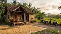 6 Model Rumah Kampung dengan Halaman Depan untuk Jemur Padi dan Parkir Motor