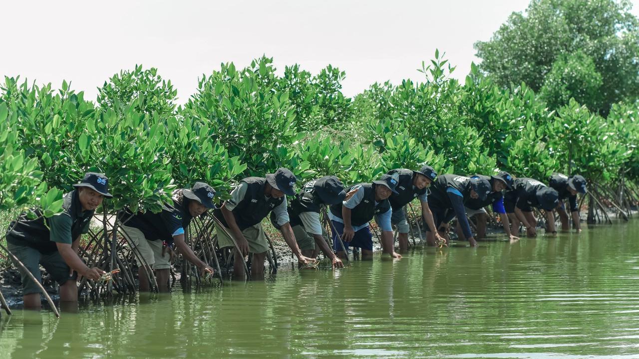 BRI Perkuat Komitmen Jaga Ekosistem Pesisir Lewat Penanaman Mangrove di Muara Gembong Bekasi