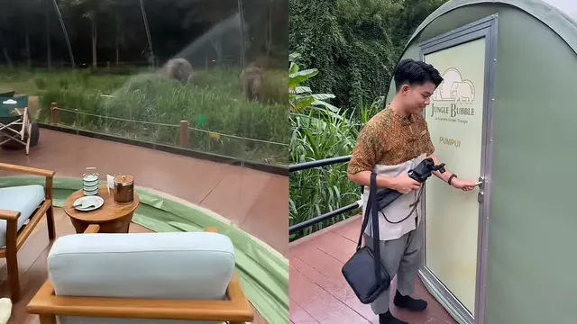 Anantara Golden Resort, Chiang Rai Thailand menawarkan penginapan resor unik dengan pemandangan langsung gajah di depan kamar. (Dok: TikTok @abdulla_alsenaani)