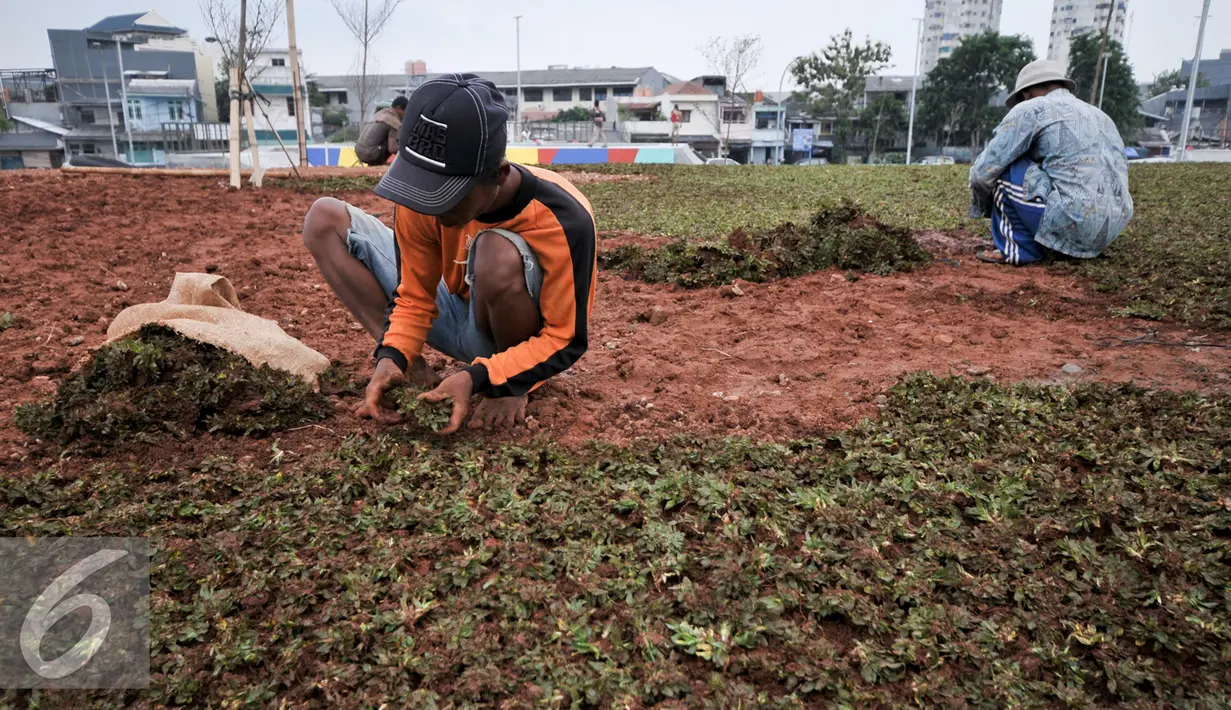 Pekerja melakukan penanaman rumput di area Ruang Terbuka Hijau (RTH) di Kalijodo, Jakarta Barat, Sabtu (10/12). Pihak pengembang mengatakan, saat ini seluruh pengerjaan konstruksi sudah nyaris rampung. (Liputan6.com/Yoppy Renato)