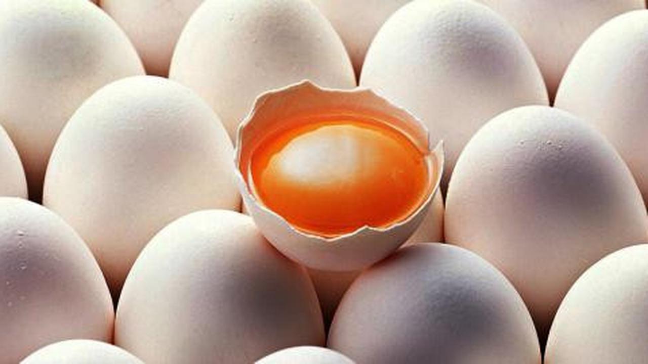 Pria muda mati karena telur