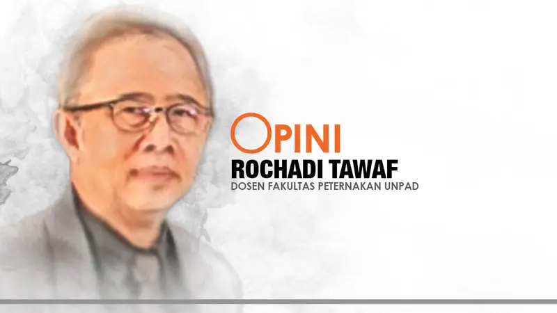 Opini Dr. Ir. Rochadi Tawaf, MS