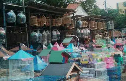 pasar burung pramuka