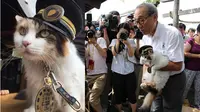 Nitama, Pengganti Tama si Kucing Kepala Stasiun