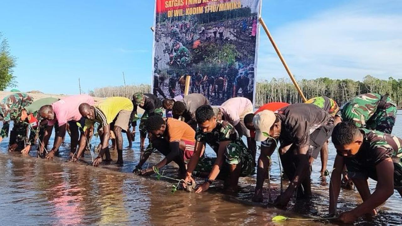 Prajurit TNI dan Warga Mimika Bersinergi dalam Penanaman Mangrove Ribuan Bibit