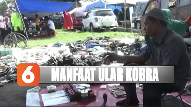 Di Pasar Klitikan Jatinom, Klaten, Jawa Tengah, dirinya mengolah bagian organ ular kobra menjadi obat.