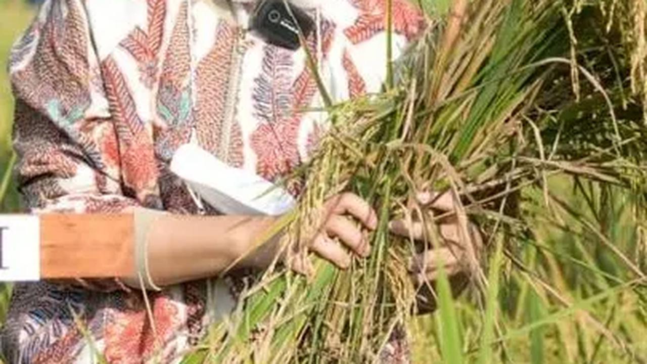Bupati Purwakarta Anne Ratna Mustika maju sebagai bakal calon anggota legislatif (bcaleg) DPRD Provinsi Jawa Barat. Dia mencalonkan diri dari Golkar.