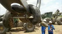 Para buruh di Brasil kaget menemukan seekor ular anakonda raksasa di lokasi kerja mereka. (Sumber Alexandre Flores)