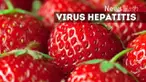 Merebaknya wabah hepatitis A di Eropa terkait dengan stroberi beku yang diimpor dari Mesir, perlu mendapat perhatian