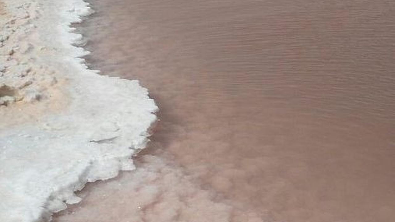 Chott el Djerid atau Danau Garam