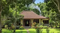7 Model Rumah 1 Lantai di Kampung dengan Pepohonan di Sekitar Rumah dan Halaman Hijau