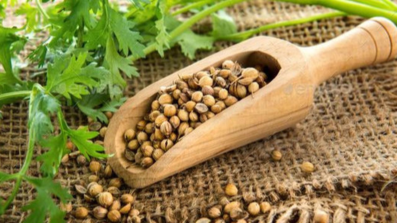 Manfaat Air Rebusan Ketumbar untuk Menurunkan Kolesterol dan Meredakan Nyeri Haid