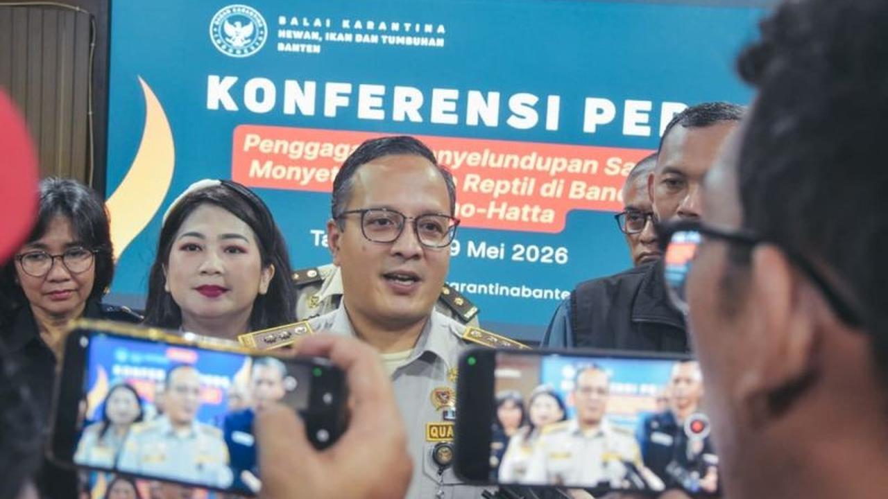 Terancam 10 Tahun Penjara, Pelaku Penyelundupan Satwa Liar Marmoset dan Bearded Dragon Ditangkap