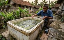 8 Cara Membuat Kolam Ikan Patin dari Styrofoam Bekas, Murah dan Mudah Dicoba
