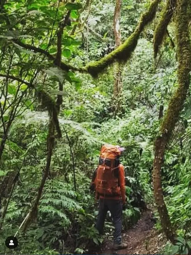 Belajar Mengelola Pendakian Nol Sampah dari Gunung Kembang Wonosobo