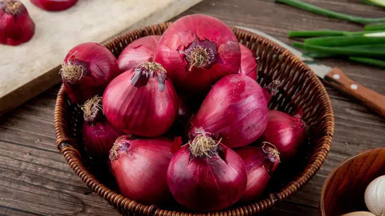 7 Bahan Dapur yang Ampuh untuk Mengusir Ular di Rumah