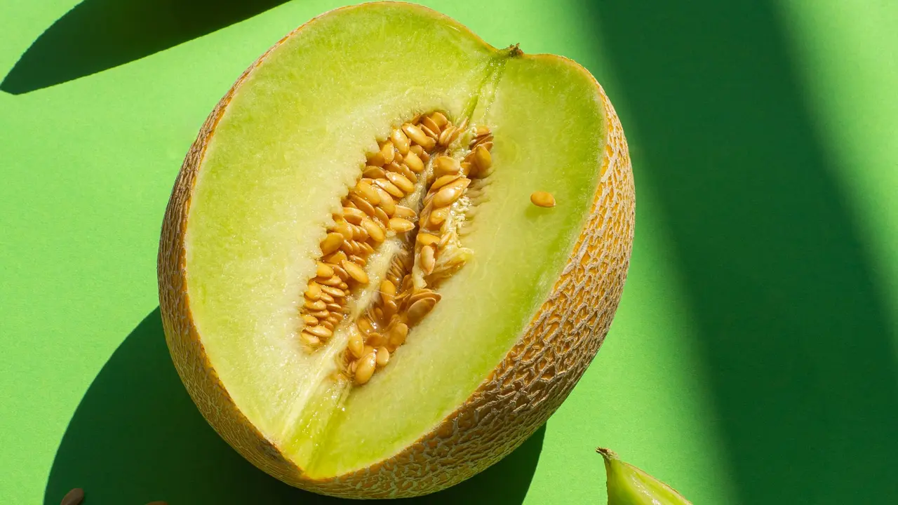 Ilustrasi Melon