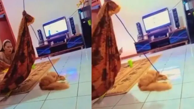 Kucing Ini Balas Budi Bantu Majikan Momong Anak
