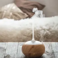 Ilustrasi Air Purifier Credit: pexels.com/Sasha