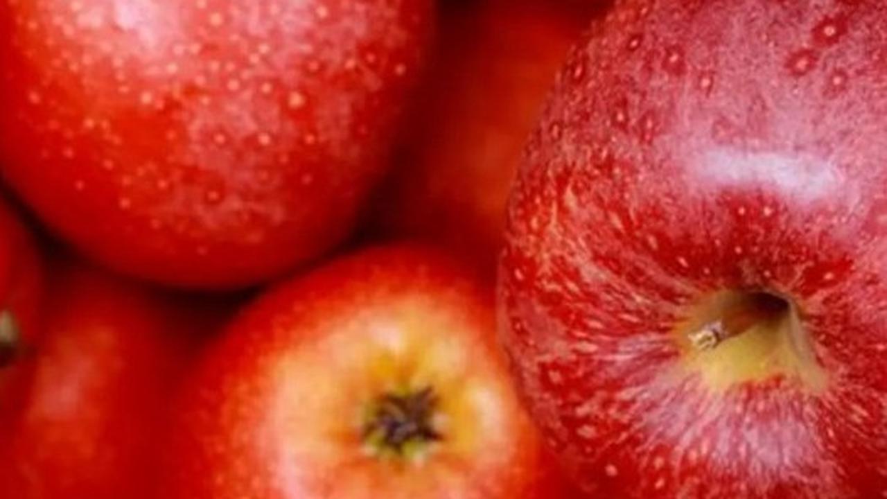 Buah Apel